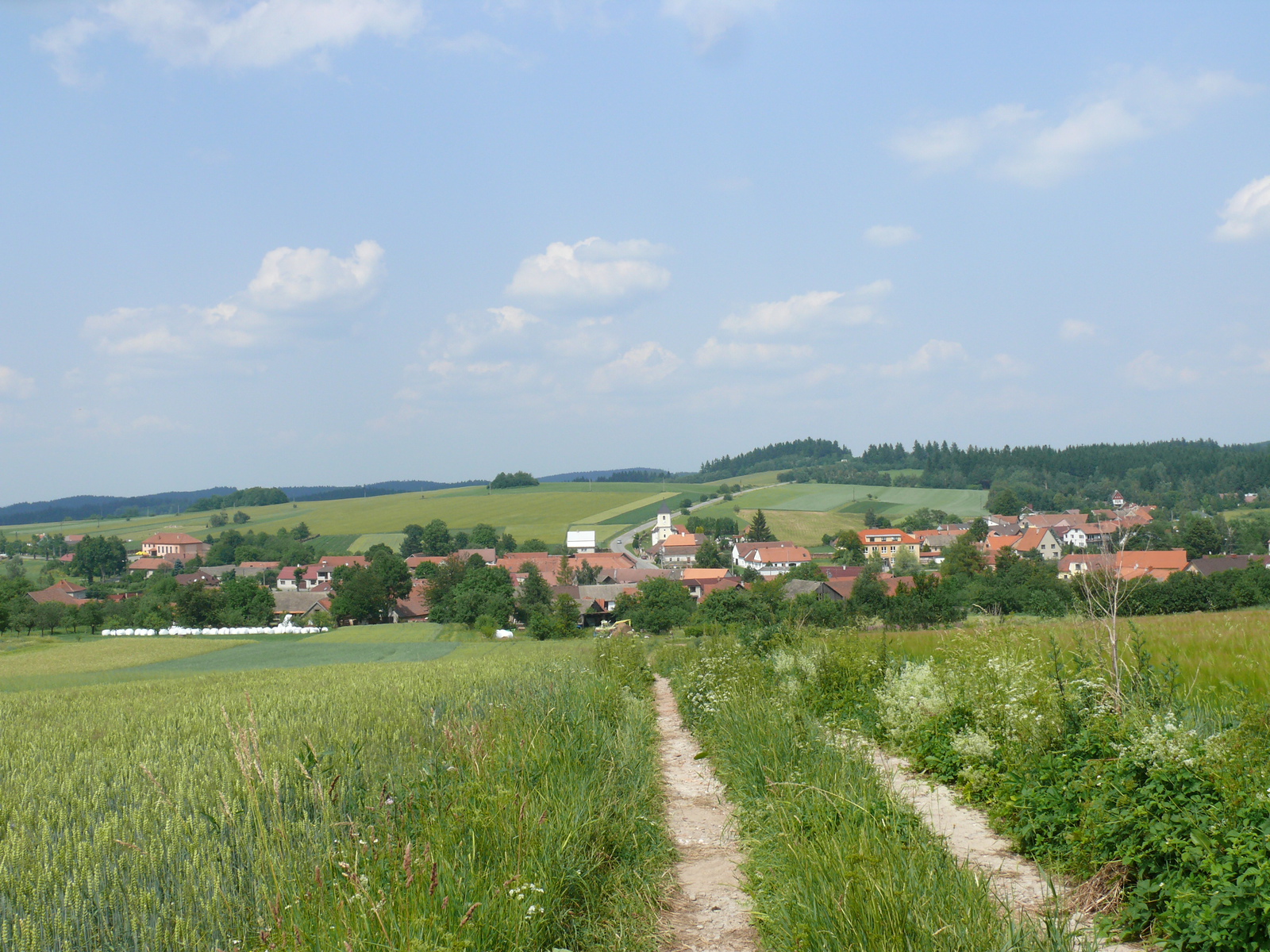 Pohled z jihu na obec